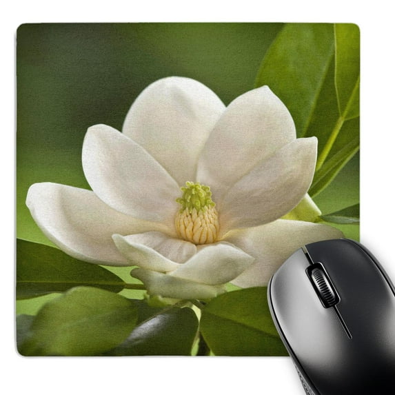 3dRose, Magnolia Tree Flower Blossom - NA01 AJE0188 - Adam Jones, MousePad