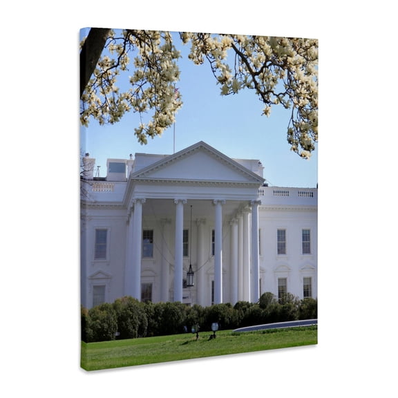 3dRose, Magnolia trees in bloom at the White House, Washington DC, USA, Museum Grade Canvas Wrap 16x20