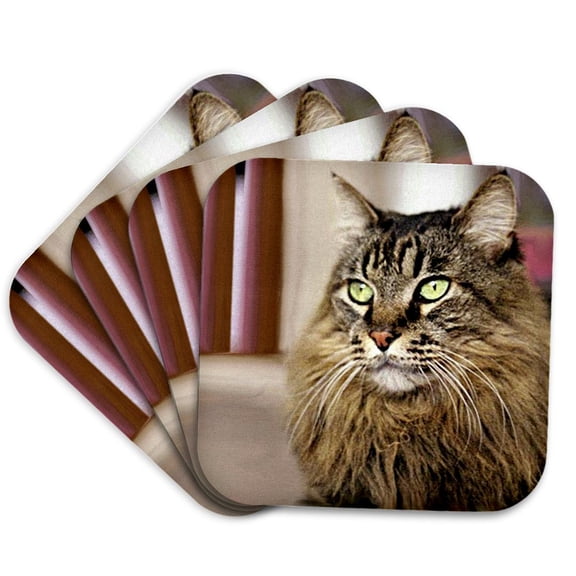3drose, Maine Coon, Set of 4 Coasters - Soft