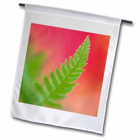 3dRose, Maine, Harpswell. Newly-emerged fern flora - US20 BJA0057 - Jaynes Gallery, 12 x 18 inch Garden Flag