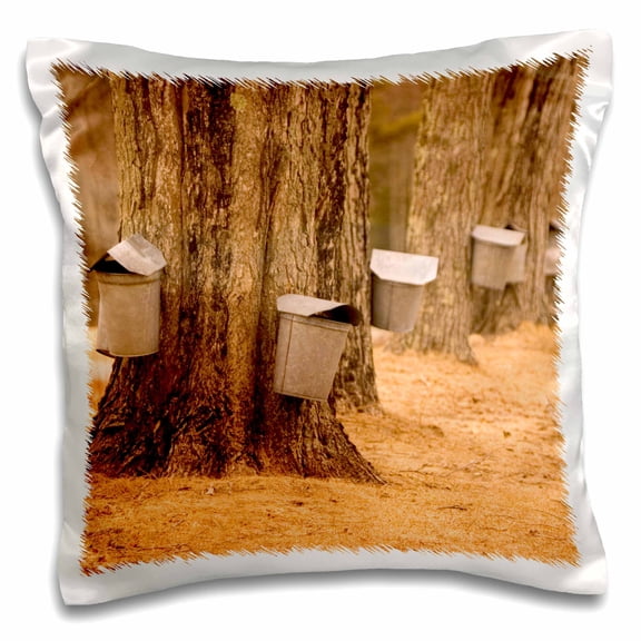 3drose, Maine, Harpswell. Tapping Maple Trees in Spring - Us20 Bja0025 - Jaynes Gallery, 16x16 inch Pillow Case