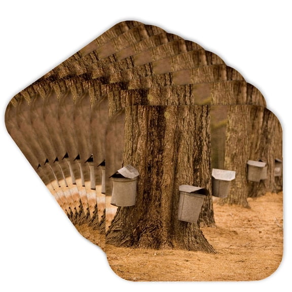 3drose, Maine, Harpswell. Tapping Maple Trees in Spring - Us20 Bja0025 - Jaynes Gallery, Set of 8 Coasters - Soft