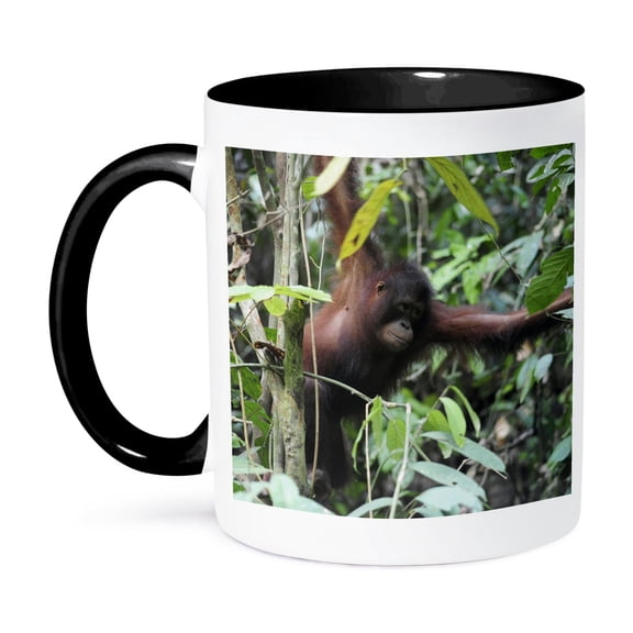 3dRose, Malaysia, Borneo, Orangutan primate in rainforest - AS23 AAS0032 - Anthony Asael, 15oz Two-Tone Black Mug