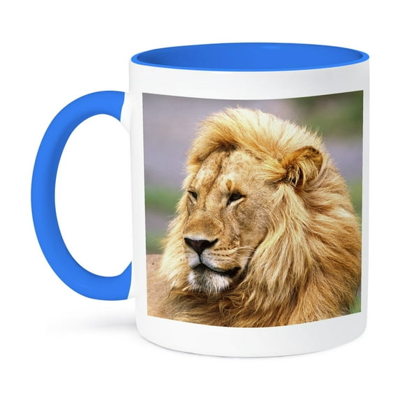 3dRose, Male African Lion, Tanzania Africa - NA02 DNO0332 - David Northcott, 15oz Two-Tone Blue Mug