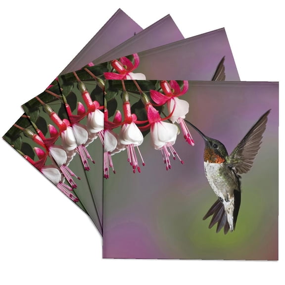 3drose, Male Ruby Throated Hummingbird, Kentucky - Na02 Aje0270 - Adam Jones, Set of 4 Ceramic Tile Coasters