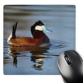 thumbnail image 1 of 3dRose, Male Ruddy duck, Henderson, Nevada - US29 MPR0067 - Maresa Pryor, MousePad, 1 of 7