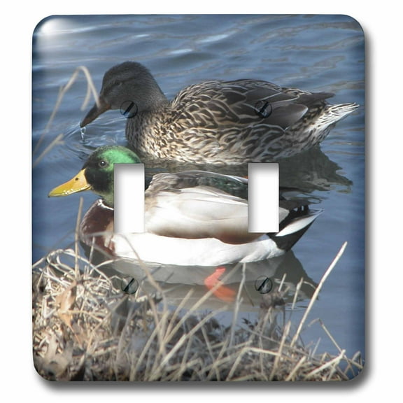 3dRose, Mallard Duck Couple, double toggle switch