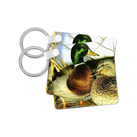 3dRose, Mallard Duck, set of 2 Key Chains