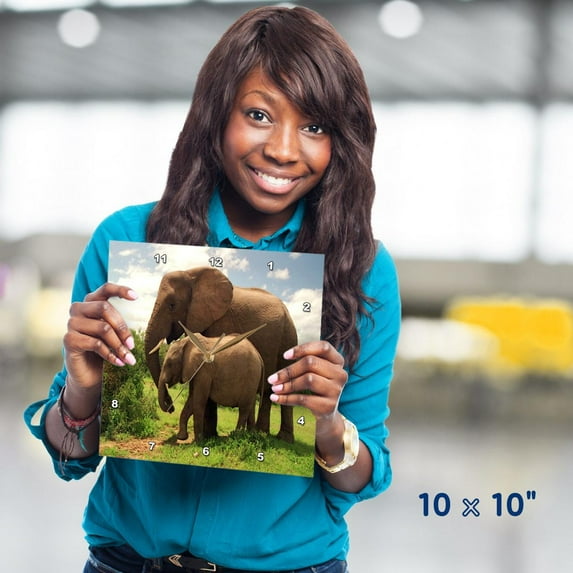 3dRose, Mama n Baby Elephants In Wild, 10x10 Wall Clock