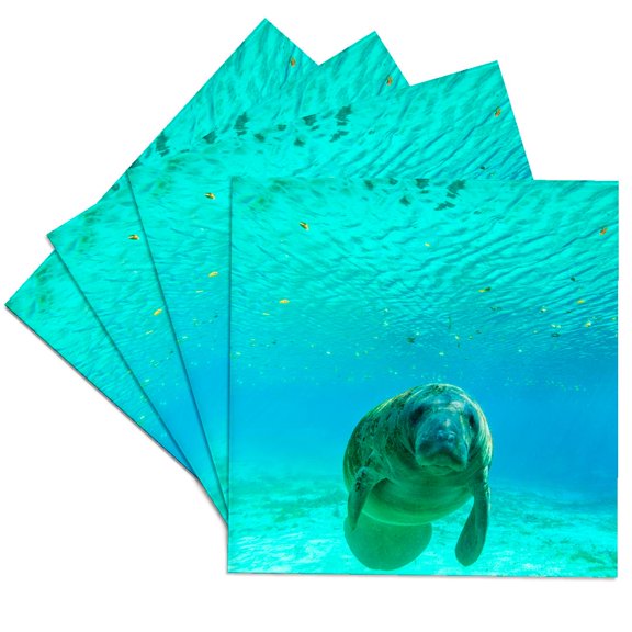 3drose, Manatee Swimming, Crystal River, Florida, Set of 4 Ceramic Tile Coasters