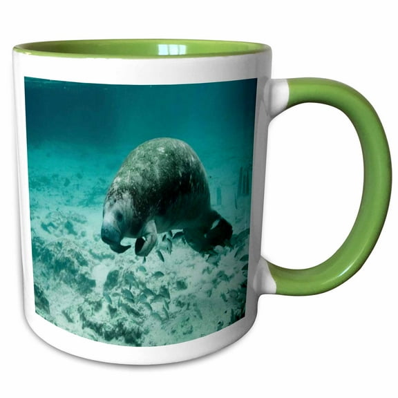 3drose, Manatee Underwater, 11oz Two-tone Green Mug