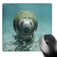thumbnail image 1 of 3dRose, Manatee n Fishes Underwater, MousePad, 1 of 7