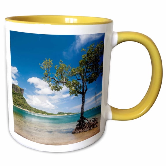 3drose, Mangrove Tree Standing in Water Near Sokehs Rock, Pohnpei, Micronesia, 11oz Two-tone Yellow Mug