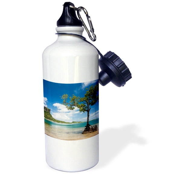 3dRose, Mangrove tree standing in water near Sokehs Rock, Pohnpei, Micronesia, Flip Straw 21oz Water Bottle