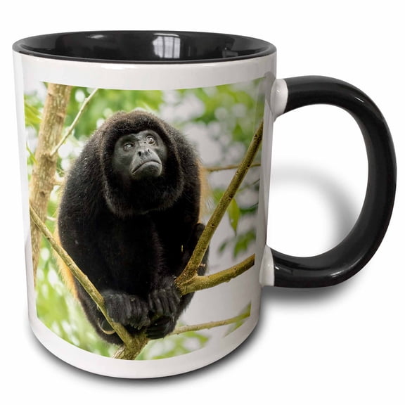 3drose, Mantled Howler, Costa Rica, Central America, 15oz Two-tone Black Mug