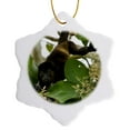 thumbnail image 1 of 3drose, Mantled Howler Monkey Alouatta Palliata, 3 inch Snowflake Porcelain Ornament, 1 of 7