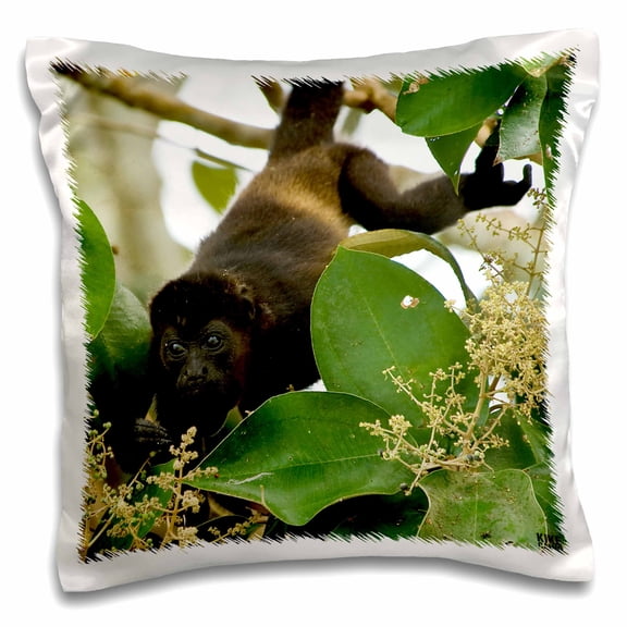 3dRose, Mantled howler monkey Alouatta palliata, 16x16 inch Pillow Case