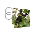 thumbnail image 1 of 3dRose, Mantled howler monkey Alouatta palliata, set of 2 Key Chains, 1 of 7
