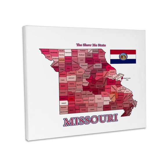 3dRose, Map and flag of Missouri with state nickname. All counties labeled , Museum Grade Canvas Wrap 10x8