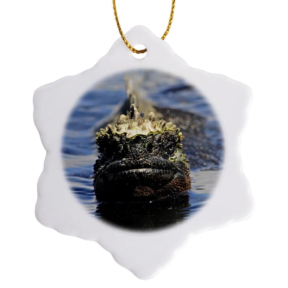3drose, Marine Iguana,amblyrhynchus Cristatus,at Punta Espinosa Fernandina Island Galapagos, 3 inch Snowflake Porcelain Ornament