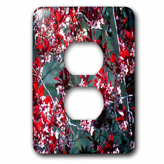 3dRose, Maroon and pink flowers all over a bush in springtime, 2 plug outlet cover