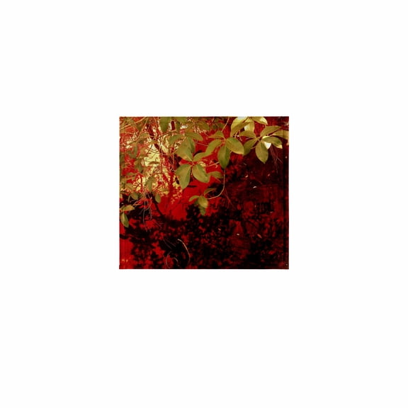 3dRose, Marshy Red, 11x12 Wash Cloth for Face and Body