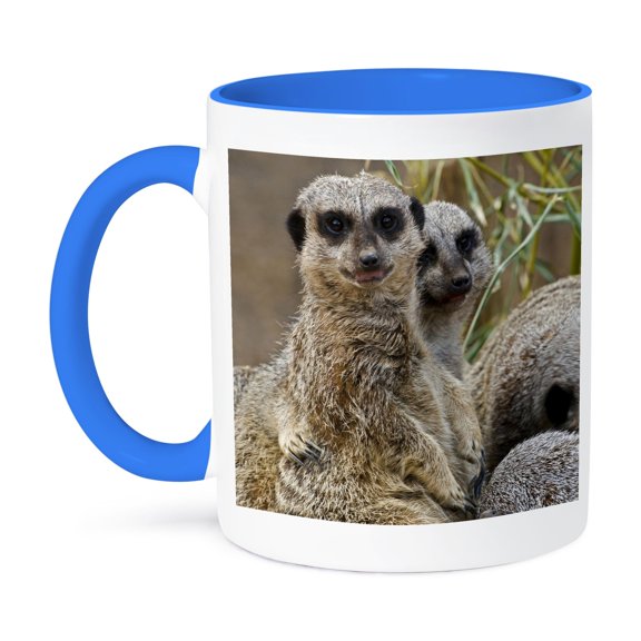 3dRose, Meerkats, Louisville Zoo, Louisville, Kentucky - US18 AJE0298 - Adam Jones, 11oz Two-Tone Blue Mug