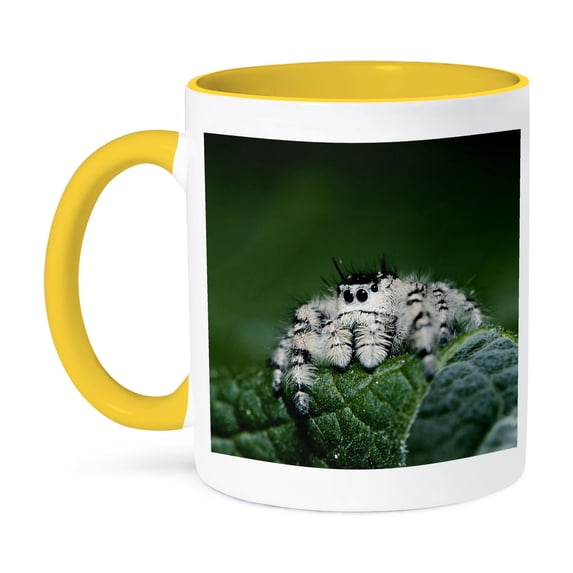 3dRose, Metaphid Jumping Spider, Metaphidippus, , 15oz Two-Tone Yellow Mug