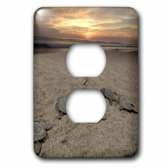 3dRose, Mexico, Boca del Cielo, Olive Ridley Sea Turtle - SA13 RGO1318 - Russell Gordon, 2 plug outlet cover