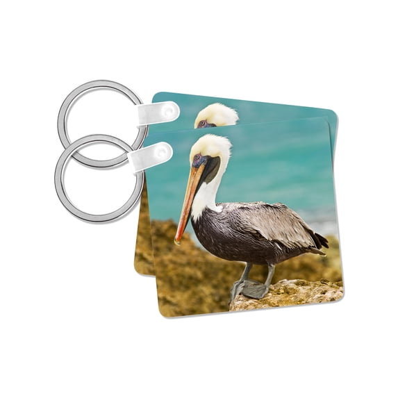 3dRose, Mexico, Caribbean. Pelecanus occidentalis, male Brown pelican., set of 2 Key Chains