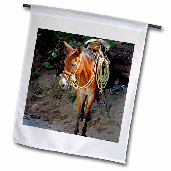 3dRose, Mexico, Puerto Vallarta, Yelapa, donkey - SA13 CMI0692 - Cindy Miller Hopkins, 12 x 18 inch Garden Flag