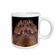 thumbnail image 1 of 3drose, Mexico, San Miguel De Allende. La Parroquia Cathedral at Night., 11oz Mug, 1 of 6