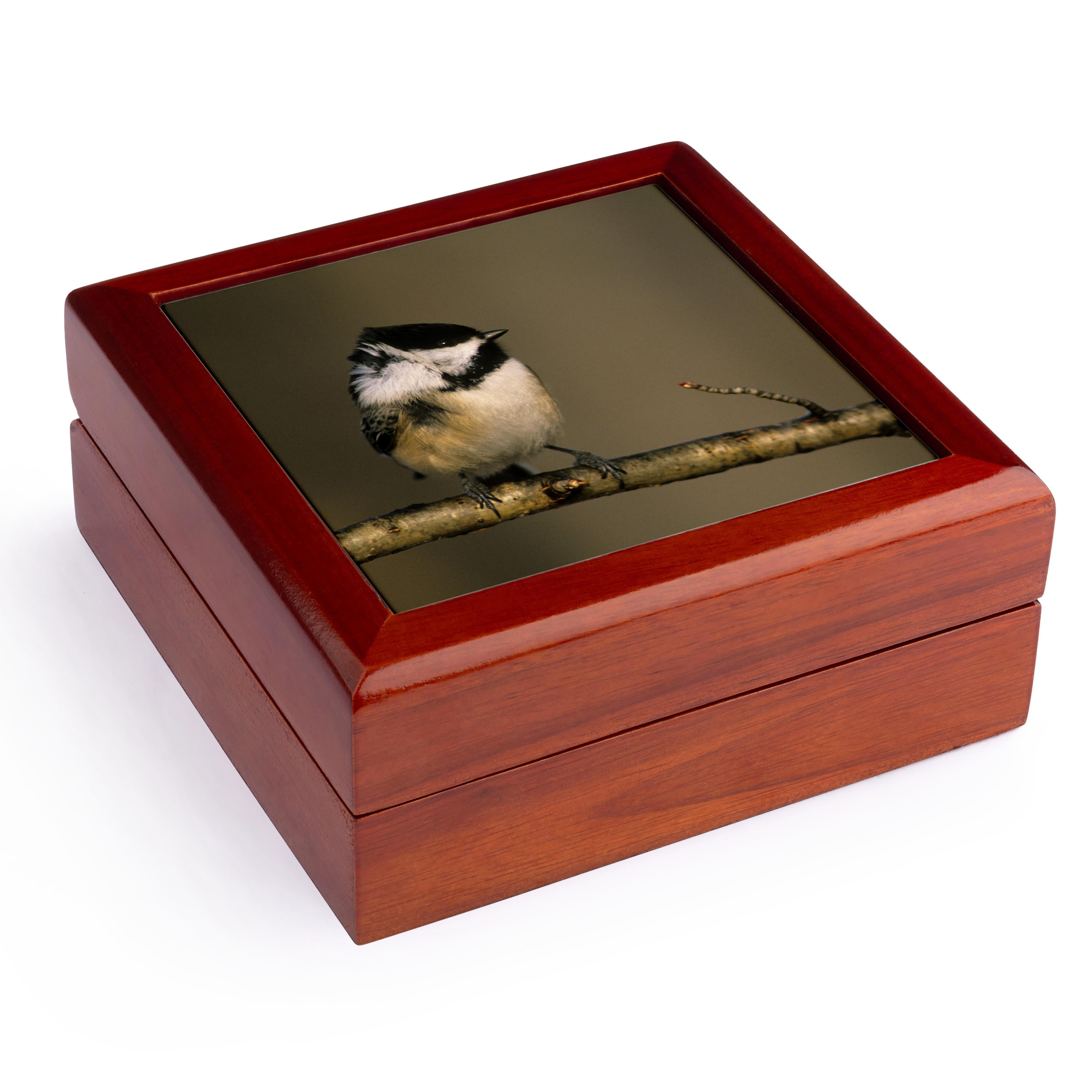 3dRose, Michigan. Black-capped chickadee bird, Winter - US23 BJA0119 - Jaynes Gallery, Jewelry Box 5.5x5.5 inch with 4 inch tile