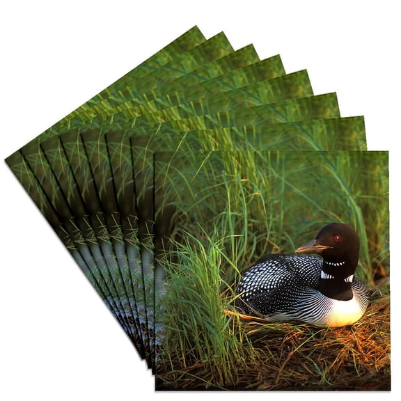 3dRose, Minnesota, Common Loon bird, Leech Lake - US24 PHA0015 - Peter Hawkins, Set of 8 Ceramic Tile Coasters