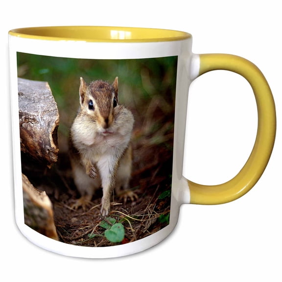 3drose, Minnesota, Itasca Sp, Eastern Chipmunk Wildlife - Us24 Pha0028 - Peter Hawkins, 11oz Two-tone Yellow Mug
