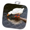 thumbnail image 1 of 3dRose, Mirror Mirror, White Duck, 8x8 Potholder, 1 of 1