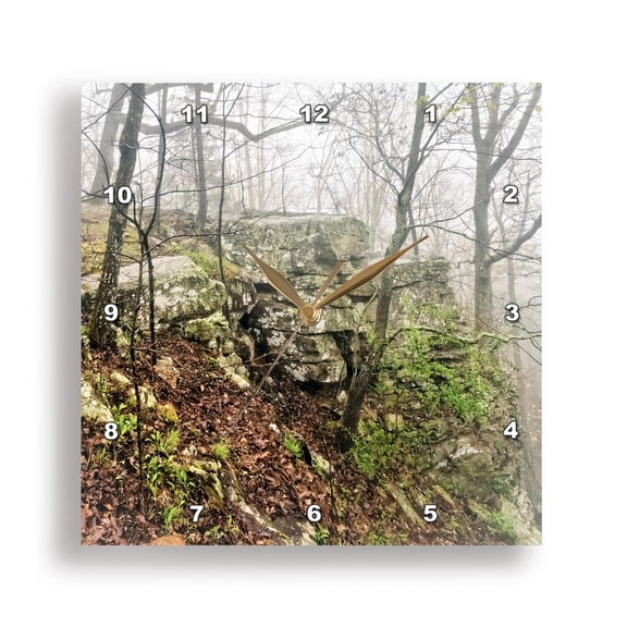 3drose, Misty Cliffs in Monte Sano State Park, 10x10 Wall Clock