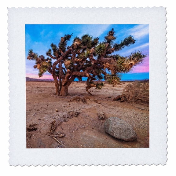 3dRose, Mojave Joshua Tree, 12x12 inch quilt square