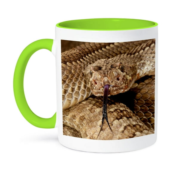 3dRose, Mojave Rattlesnake, Native to southwestern US - NA02 DNO0967 - David Northcott, 15oz Two-Tone Green Mug