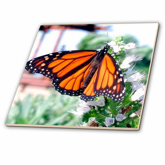 3dRose, Monarch Butterfly, 12 Inch Ceramic Tile