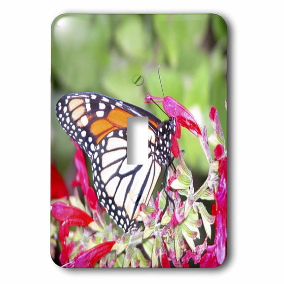 3dRose, Monarch Butterfly in the Garden, single toggle switch