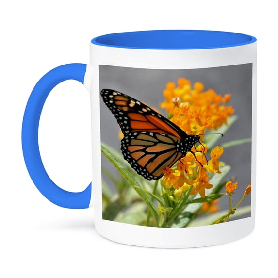 3dRose, Monarch Butterfly on an orange flower in Florida, 11oz Two-Tone Blue Mug