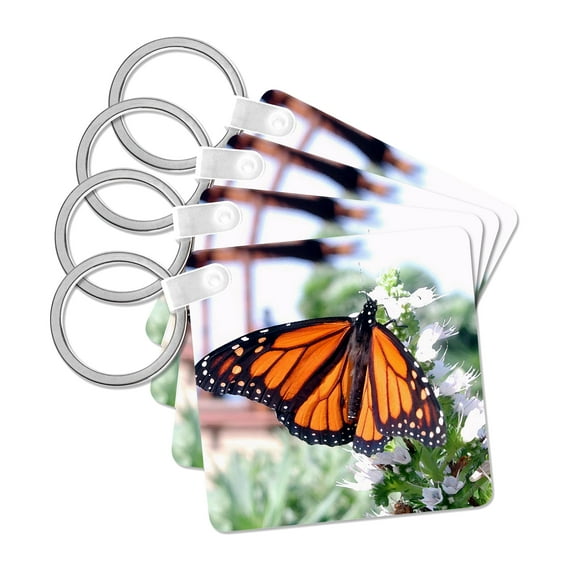 3dRose, Monarch Butterfly, set of 4 Key Chains
