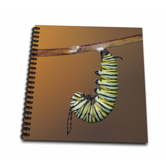 3dRose, Monarch larva caterpillar in prepupal curl before forming chrysalis , Mini Notepad 4 x 4 inch