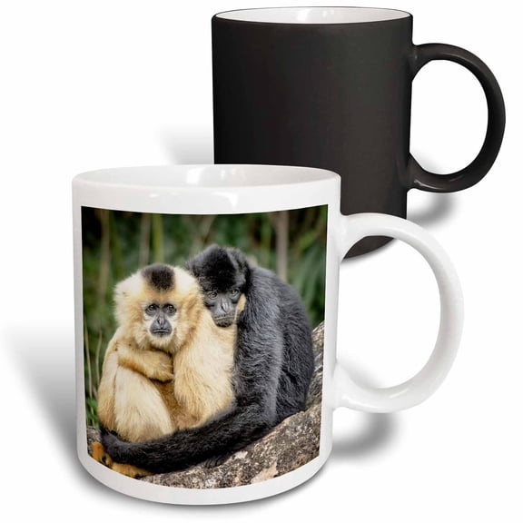 3drose, Monkeys Hugging. Popular Print, Image., 11oz Magic Transforming Mug