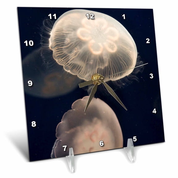 3dRose, Moon Jelly fish, Monterey Bay Aquarium, California - US05 JGS0131 - Jim Goldstein, 6x6 Desk Clock