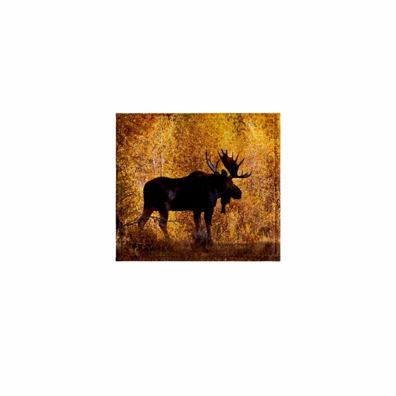 3dRose, Moose bull in golden willows., 11x12 Wash Cloth for Face and Body