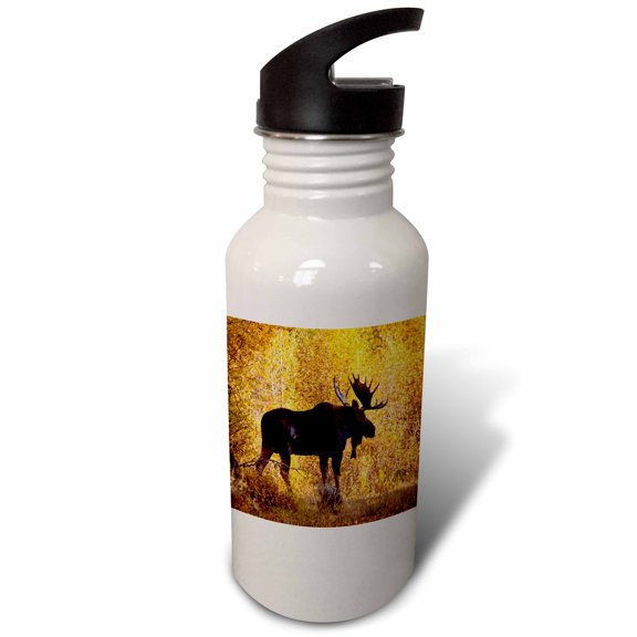 3dRose, Moose bull in golden willows., 21 oz Sports Water Bottle