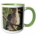 thumbnail image 1 of 3drose, Morning Dove, 15oz Two-tone Green Mug, 1 of 6