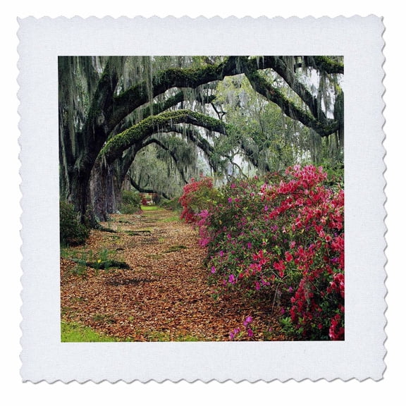 3dRose, Moss Covered Trees In Charleston Garden South Carolina, 10x10 inch quilt square